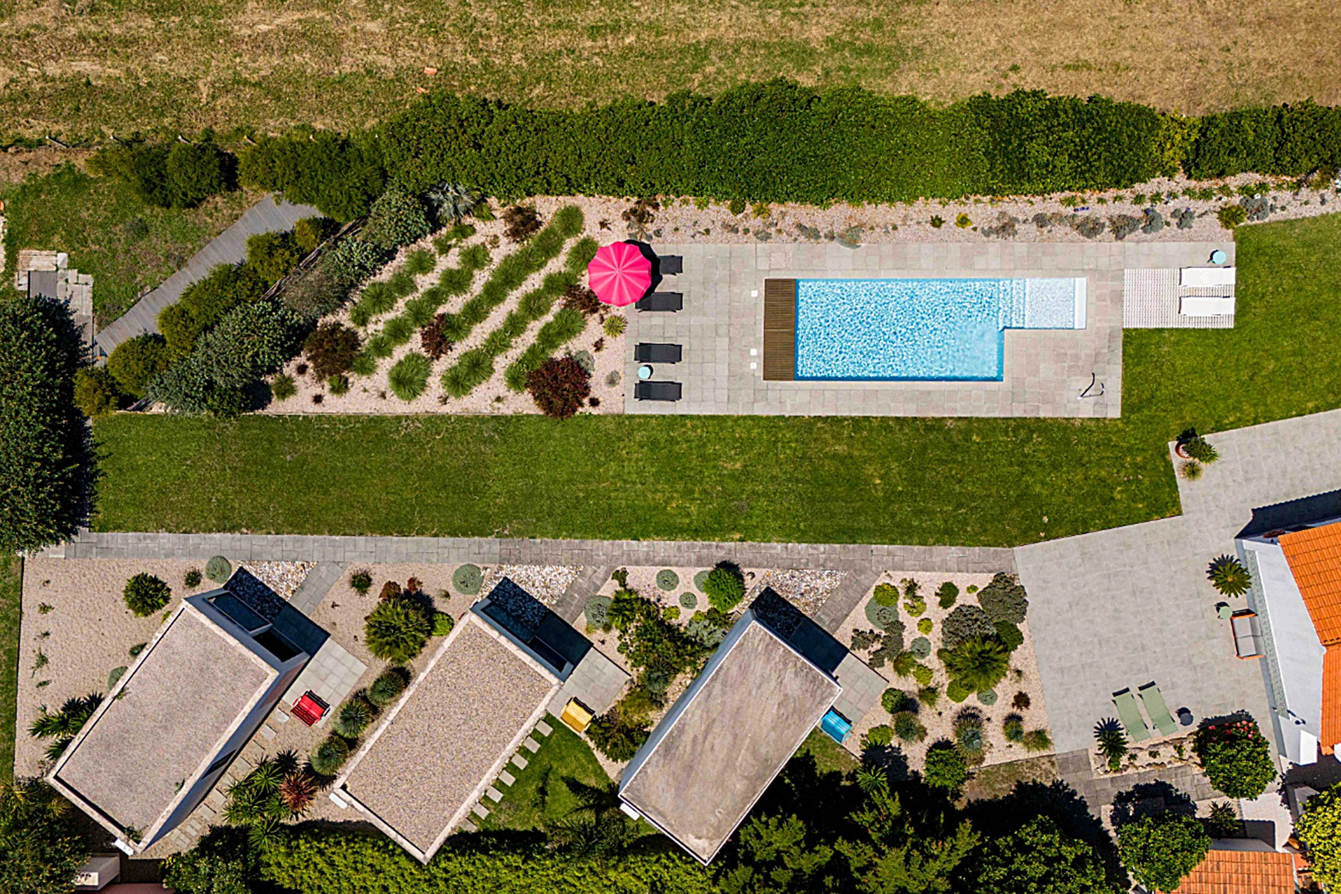 flamboyant drone view poll