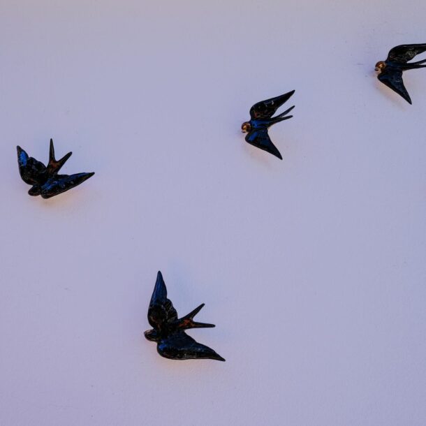 09 2025 FLAMBOYANT B&B 140